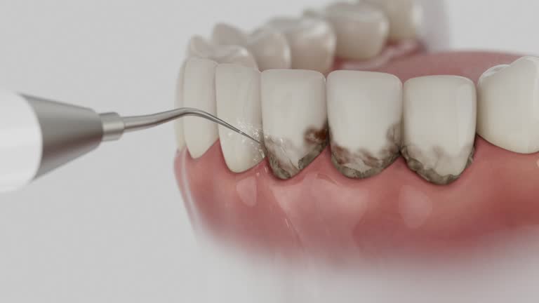 Reliable Dental contractor in Pasatiempo, CA by Dentist Open Now